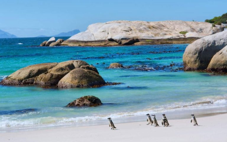 Cape-Peninsula